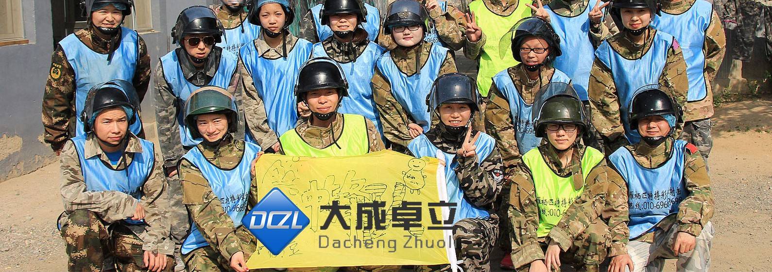 大成卓立专业的教育服务咨询平台建设插图