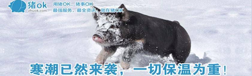 立身养殖网，建设中国领先农牧互联网服务平台！插图3