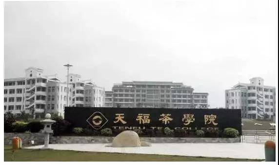 未来天福茶业则将打造为中国的“茶业星巴克”插图1