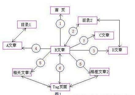 网站SEO内链体系站内优化建设方案_蜘蛛技巧_超级蜘-蛛-池插图8