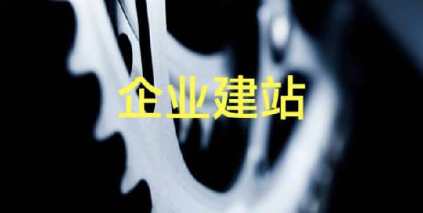 企业网站建设制作流程是什么及建站注意事项_蜘蛛技巧_超级蜘-蛛-池插图