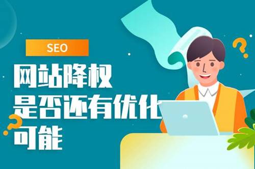 网站降权的原因，如何判断是否真的降权？插图