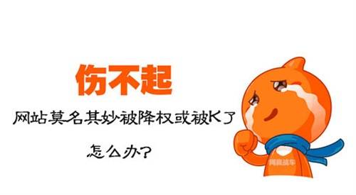 网站降权的原因，如何判断是否真的降权？插图2