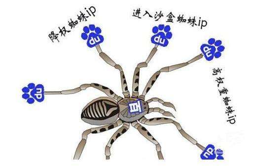 搜索引擎百度蜘蛛详解，百度蜘蛛IP分析_蜘蛛技巧_超级蜘-蛛-池插图2