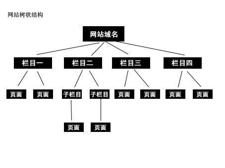 什么是泛目录，什么是泛域名解析？_蜘蛛技巧_超级蜘-蛛-池插图1