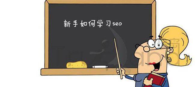SEO新手优化规则,SEO新手必看的法宝插图