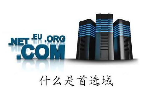 什么是首选域，网站建设如何确立首选域？_蜘蛛技巧_超级蜘-蛛-池插图