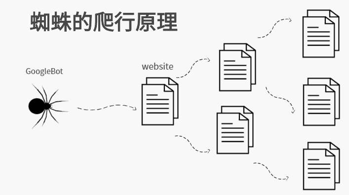 探秘搜索引擎蜘蛛的抓取规律，外链是否有时效性_蜘蛛技巧_超级蜘-蛛-池插图