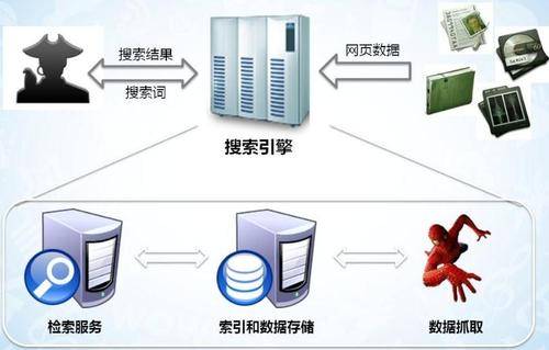 搜索引擎蜘蛛抓取策略，如何吸引更多蜘蛛插图1