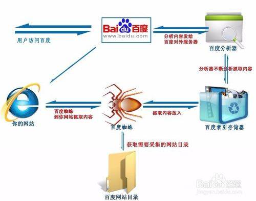 搜索引擎蜘蛛抓取策略，如何吸引更多蜘蛛插图2