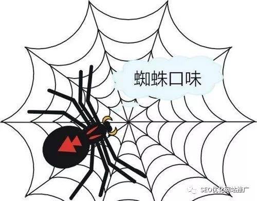 让你网站快速被蜘蛛抓取的十三个方法插图