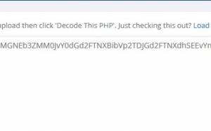 【黑客技术】PHP大马后门分析_蜘蛛技巧_超级蜘-蛛-池插图13
