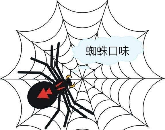 蜘-蛛-池是干什么的？对网站收录有好处吗?插图2