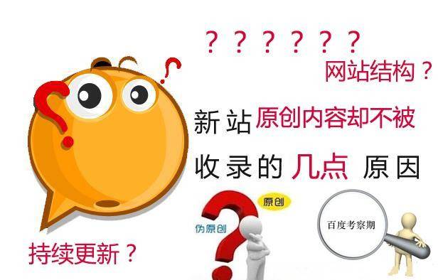 网站不收录或收录慢的原因？插图2