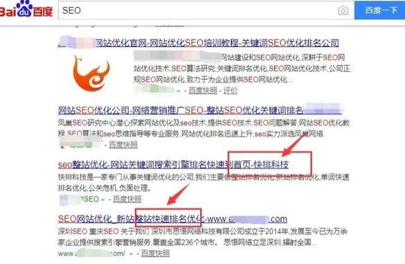 SEO快排是什么、原理、如何判断及应对插图3
