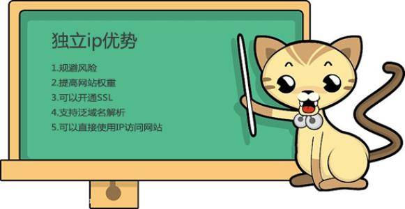 网站SEO使用独立IP比共享IP会更好吗？插图2