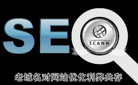 老域名的选择，老域名对网站优化利弊共存_蜘蛛技巧_超级蜘-蛛-池插图
