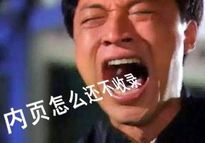 搜索引擎为什么不收录网站内页？插图