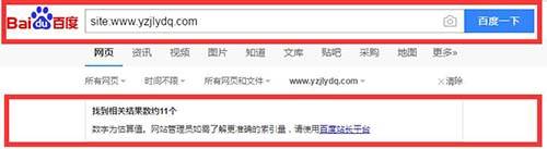 揭秘SEO关键词快排原理_蜘蛛技巧_超级蜘-蛛-池插图2