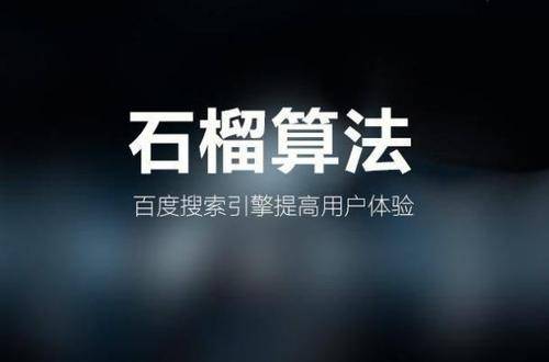 盘点百度搜索引擎相关算法，你“中雷”了吗？_蜘蛛技巧_超级蜘-蛛-池插图6