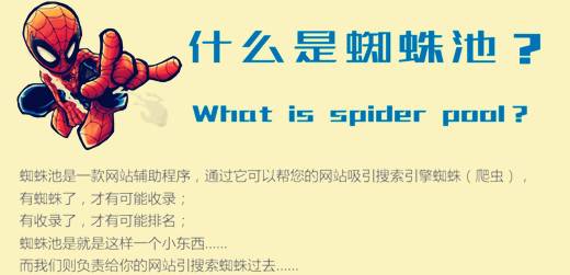 什么是蜘-蛛-池，详解蜘-蛛-池的外推方法与技巧