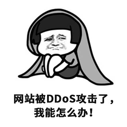 DDoS攻击与CC攻击的区别_蜘蛛技巧_超级蜘-蛛-池插图1