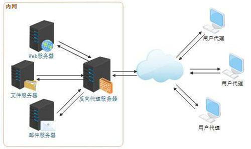 Web服务器、应用服务器、Web容器、反向代理服务器区别_蜘蛛技巧_超级蜘-蛛-池插图6