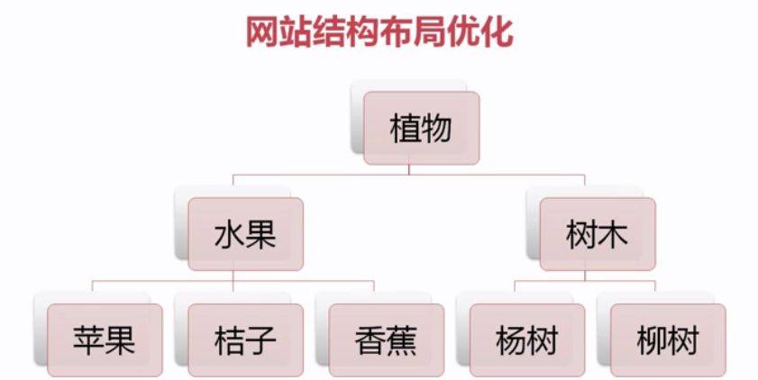 如何从前端优化SEO 在网页制作中的应用_蜘蛛技巧_超级蜘-蛛-池插图2