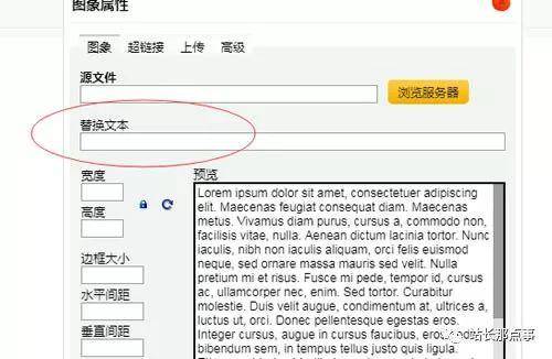 细节决定网站排名，文章排名百度首页插图14