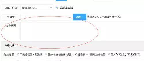 细节决定网站排名，文章排名百度首页插图11