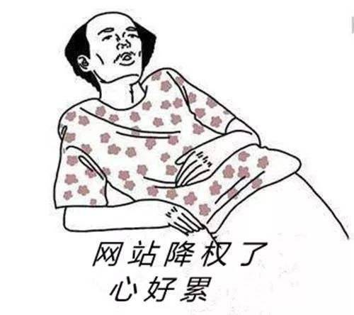 网站降权恢复周期与解决方案插图