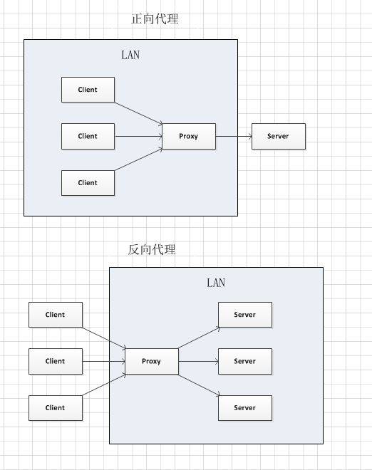 超级蜘蛛之正向代理与反向代理_蜘蛛技巧_超级蜘-蛛-池插图6