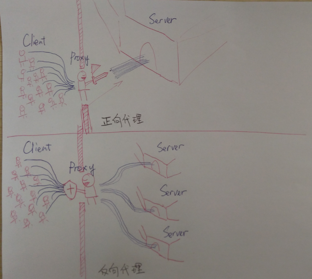 超级蜘蛛之正向代理与反向代理_蜘蛛技巧_超级蜘-蛛-池插图7