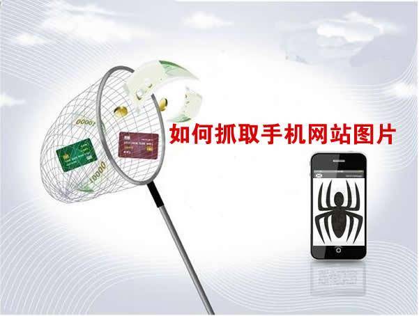 SEO优化网站插入图片的六种方法插图1