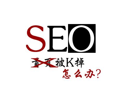 超级蜘-蛛-池之网站被K之后快速恢复技巧插图1
