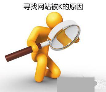 超级蜘-蛛-池之网站被K之后快速恢复技巧插图