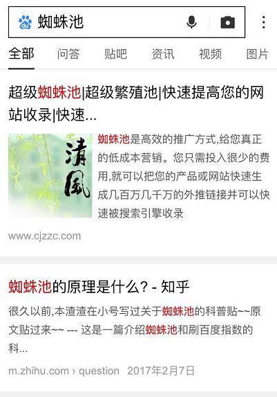 超级蜘-蛛-池之“闪电算法”解读_蜘蛛技巧_超级蜘-蛛-池插图1