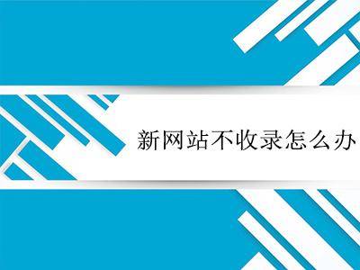 超级蜘-蛛-池之网站上线一个月了怎么没收录？插图