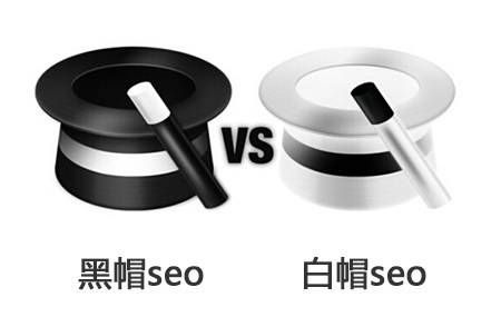 超级蜘-蛛-池之黑帽SEO还有哪些有效的方法？插图
