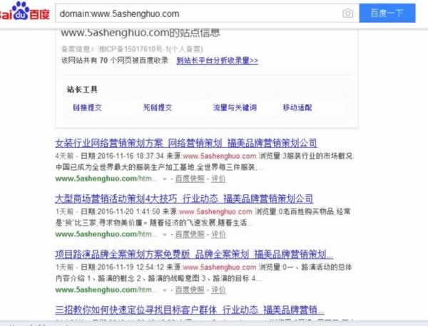 SEO实战干货：揭秘内页快速收录排名插图3