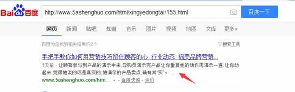 SEO实战干货：揭秘内页快速收录排名插图8
