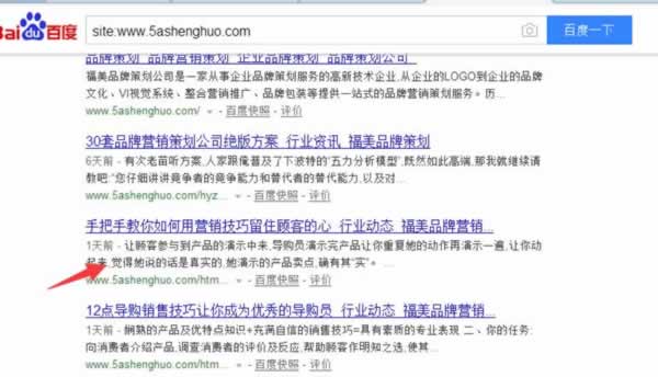 SEO实战干货：揭秘内页快速收录排名插图7