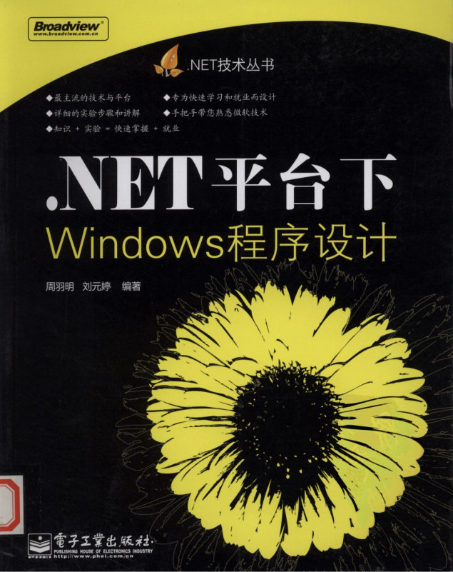 .NET平台下Windows程序设计 pdf_NET教程插图