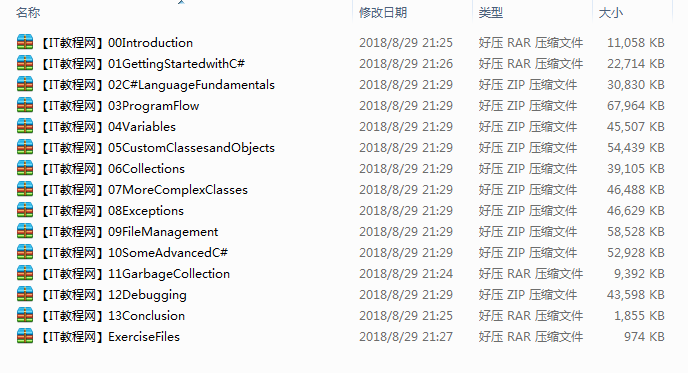 国外某知名网站：C#基础视频教程（全13集）_NET教程插图