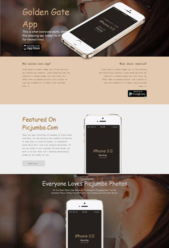 iPhone5S土豪金网页模板插图