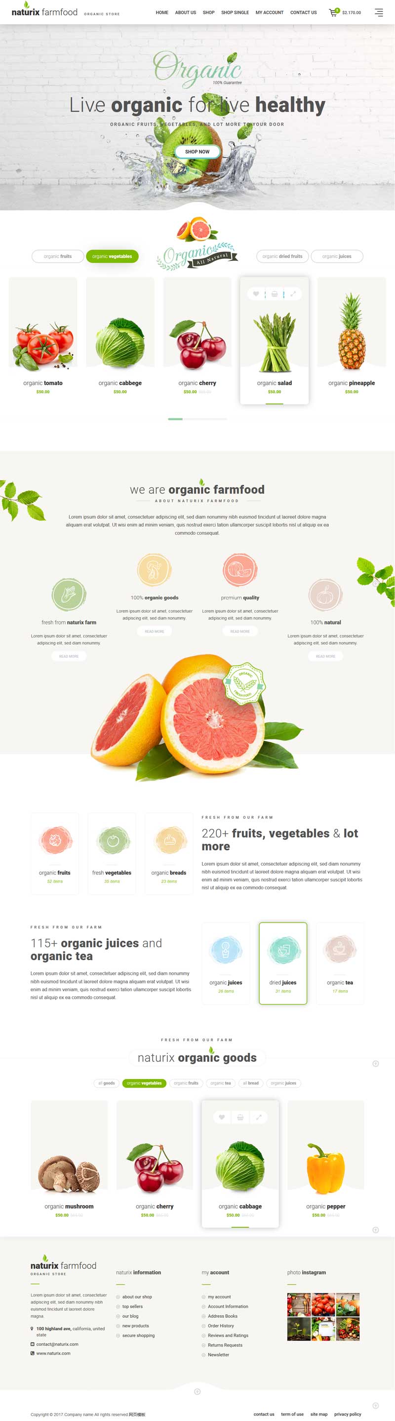 绿色大气的新鲜水果网上购物商城模板html5源码插图