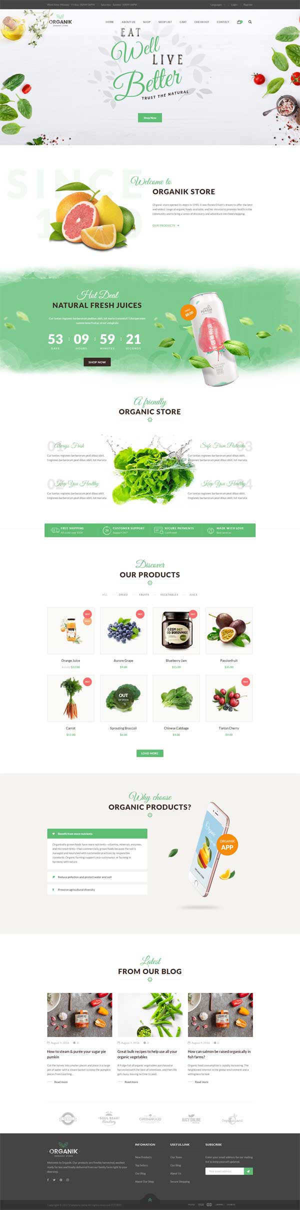 大气的网上水果食品购物商城模板html源码插图