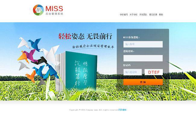 软件系统后台登录页面模板插图