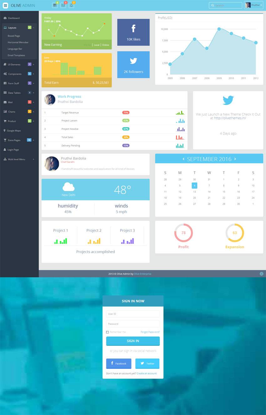 扁平化响应式购物商城后台管理系统模板源码