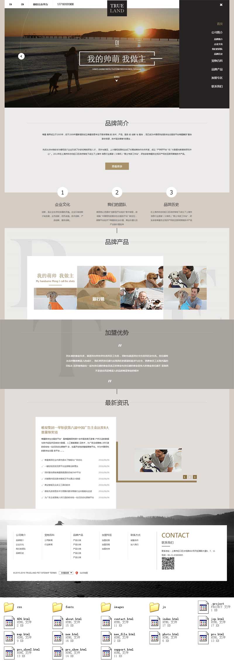 个人原创                                简洁的宠物培训机构网站html5响应式模板_响应式网站模板插图
